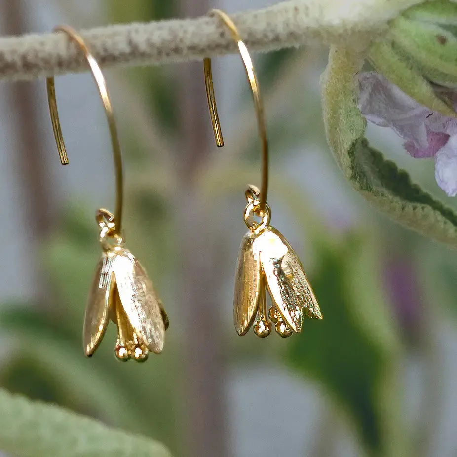 Courtenay Tulip Earrings