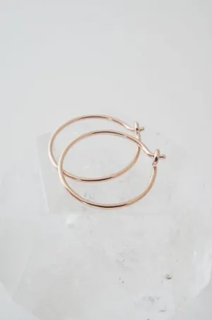 Everyday Hoops Earrings