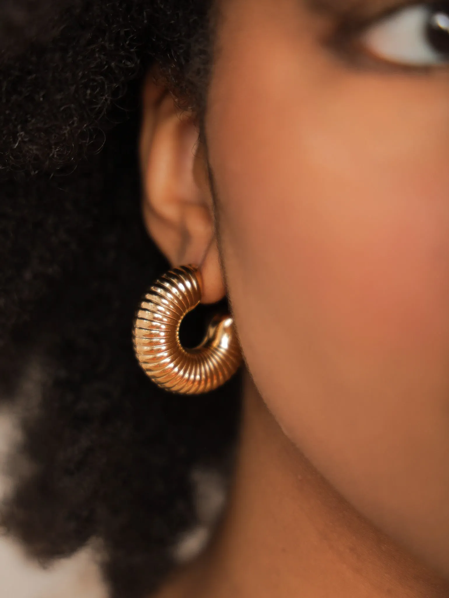 Modern Luxe Hoops