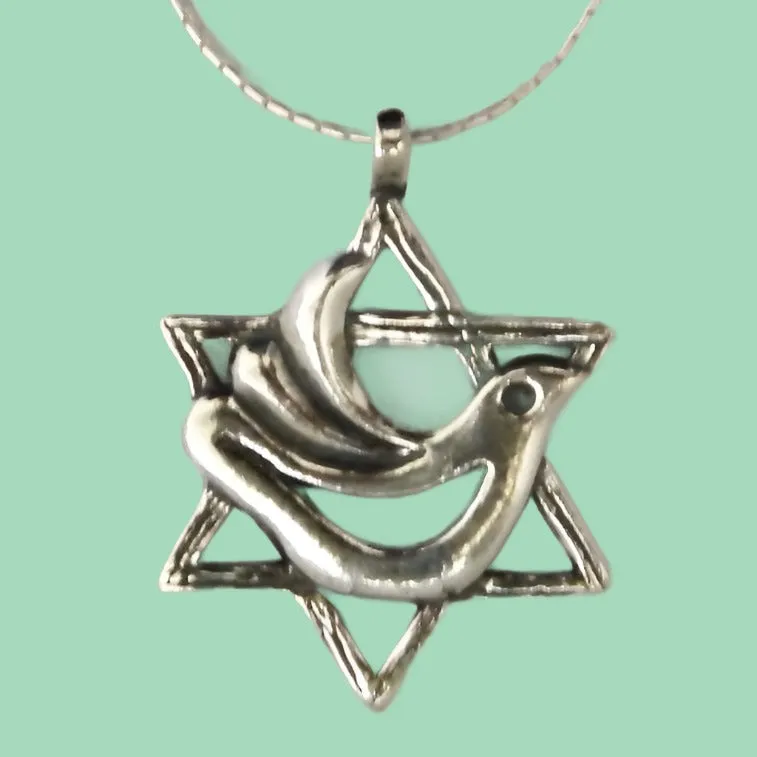 Star of David Dove Necklace , Sterling silver necklace, Jerusalem Jewelry from Bluenoemi